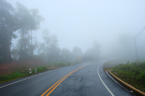 Foggy road